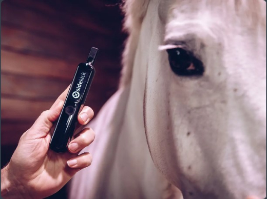 Sidekick Horse Side Test Basisgerät