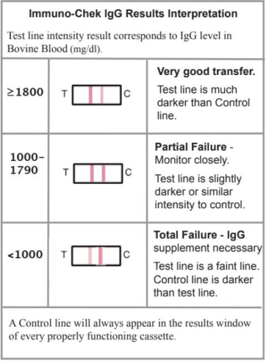 IgG Test Kalb