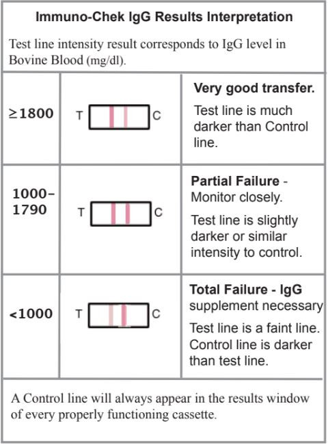 IgG Test Kalb