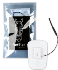 Vettrue Körpertemperaturmonitoring Pferd