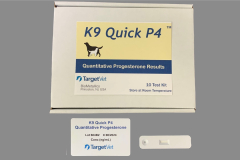 Progesterontest Hündin
