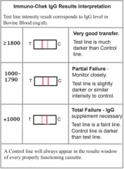 IgG Test Kalb